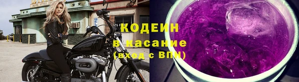apvp Каменка