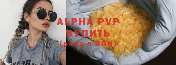apvp Каменка