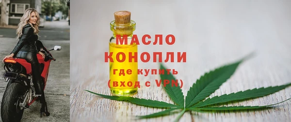 apvp Каменка