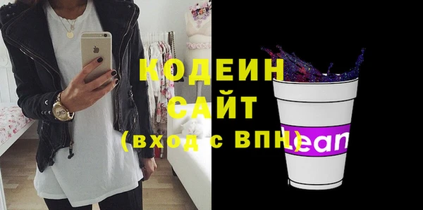 apvp Каменка