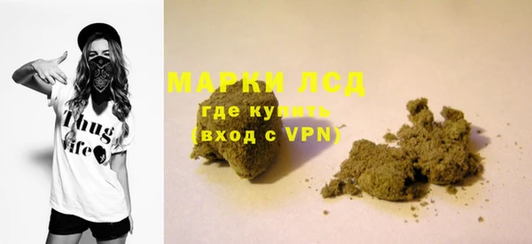 PSILOCYBIN Каменногорск
