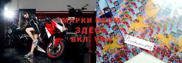 apvp Каменка