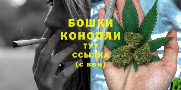 PSILOCYBIN Каменногорск