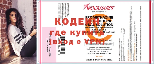 apvp Каменка