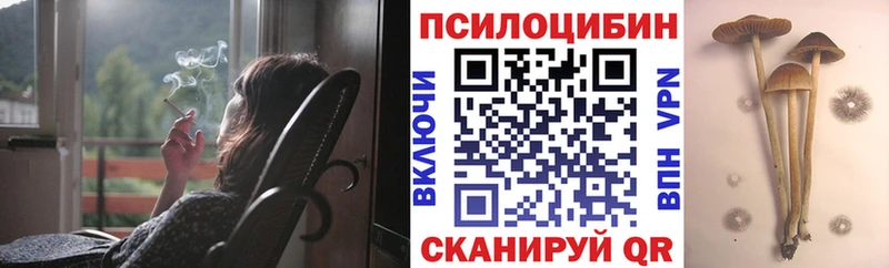 Купить закладки  Белгород  Галлюциногенные грибы ЛСД 